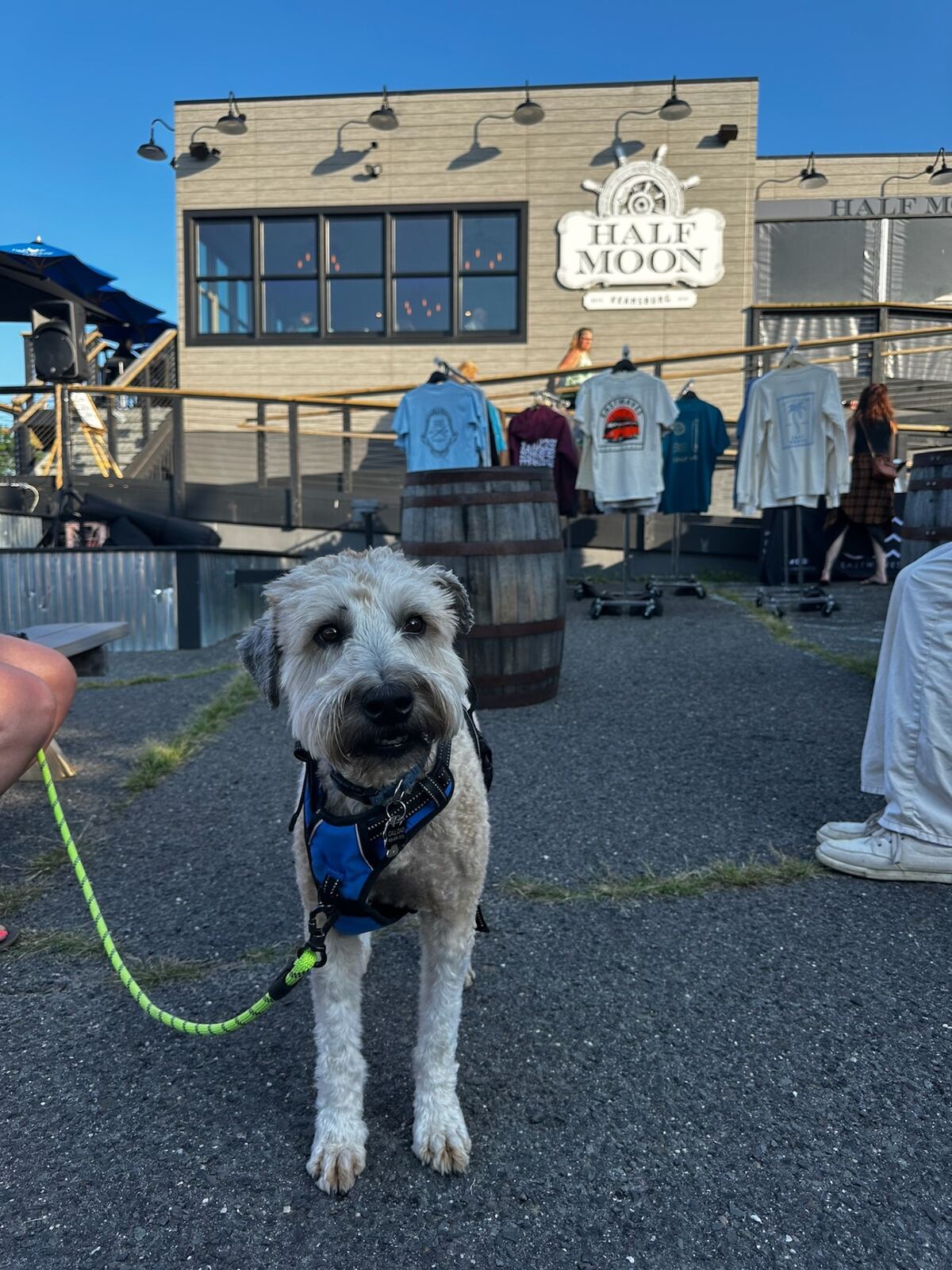 Half Moon Market scene 18